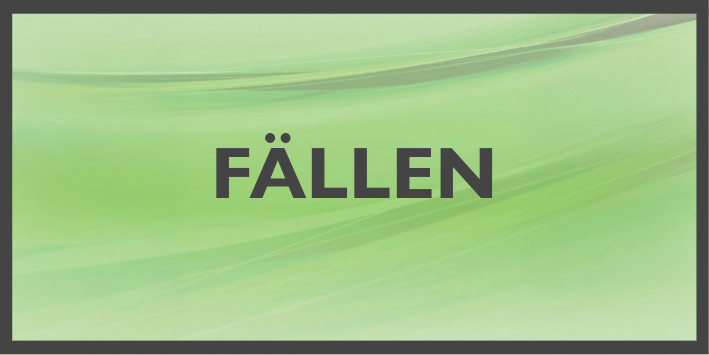 02 Engelhorns Welt FAELLEN A 709x355
